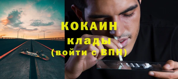 дмт Арсеньев