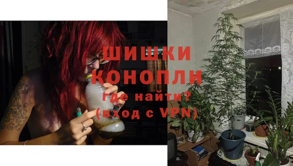 дмт Арсеньев