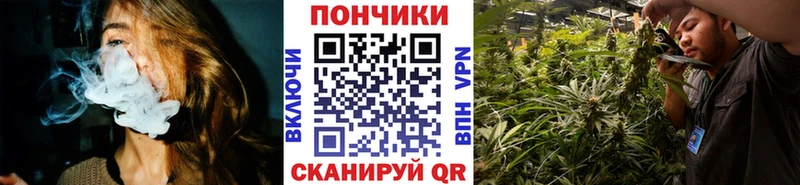Шишки марихуана семена Межгорье